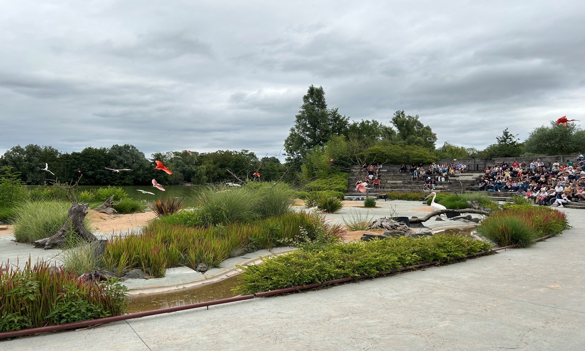 Sortie famille au Parc des oiseaux